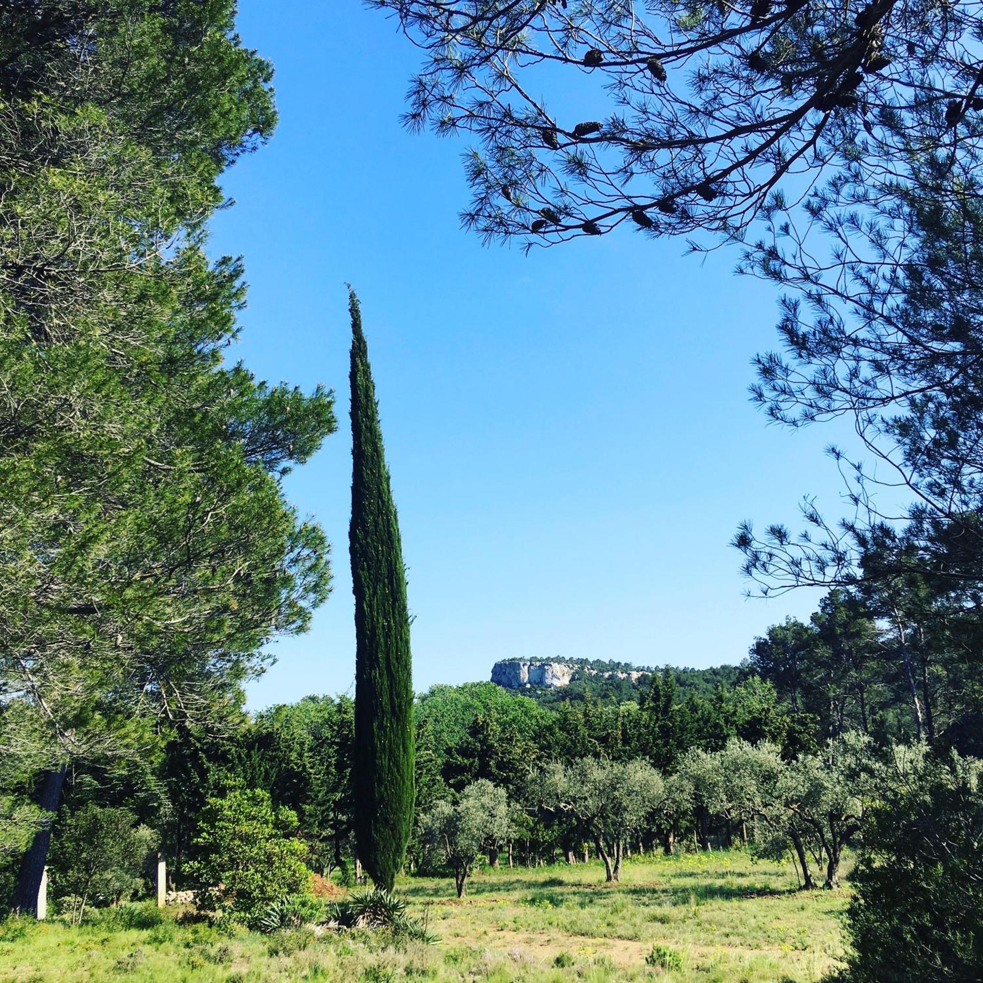 Cabane De La Leque Fontvieille Exterior photo
