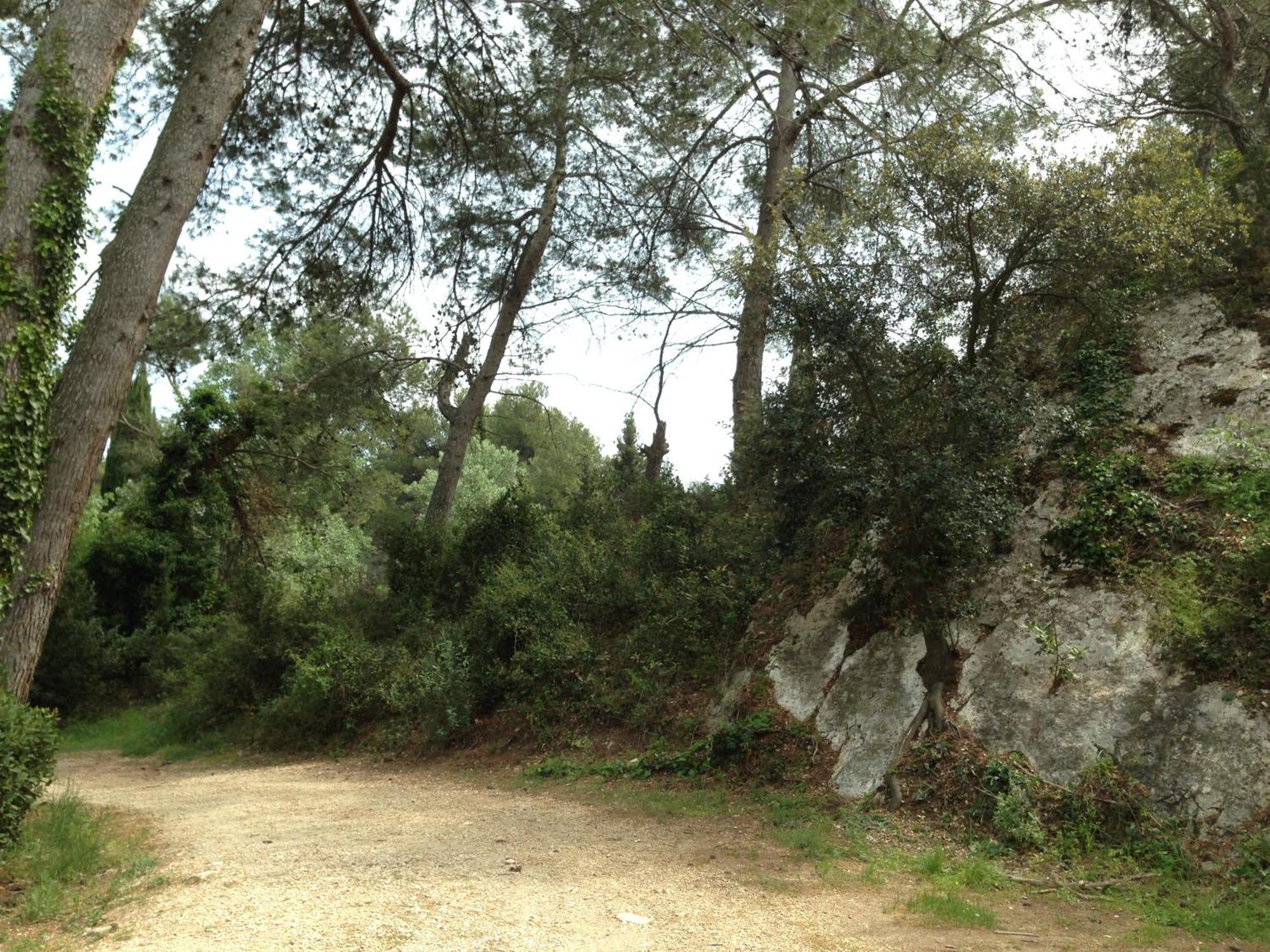 Cabane De La Leque Fontvieille Exterior photo