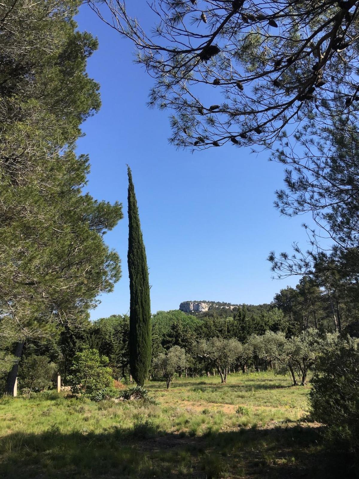 Cabane De La Leque Fontvieille Exterior photo